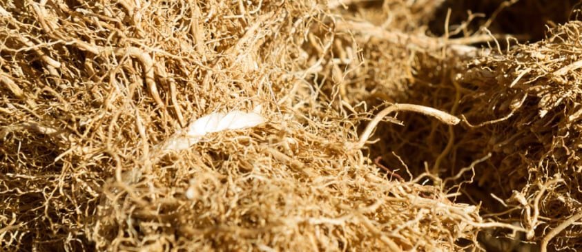 Vetiver Aroma Therapy
